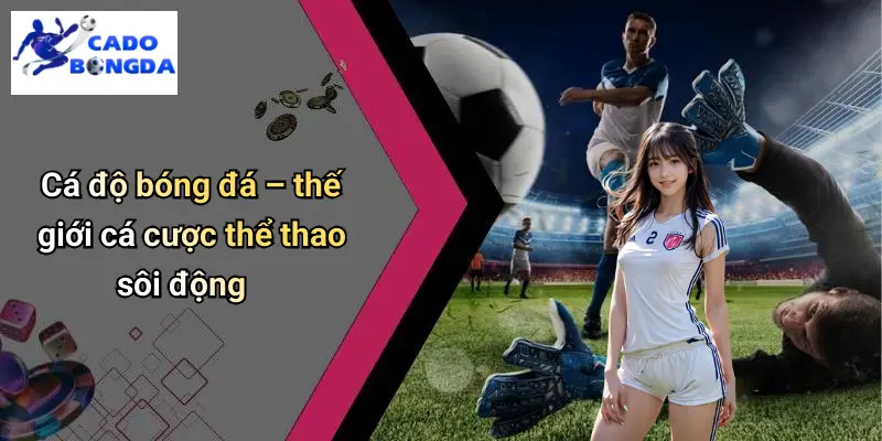 Giới Thiệu 2 Cá độ bóng đá – thế giới cá cược thể thao sôi động