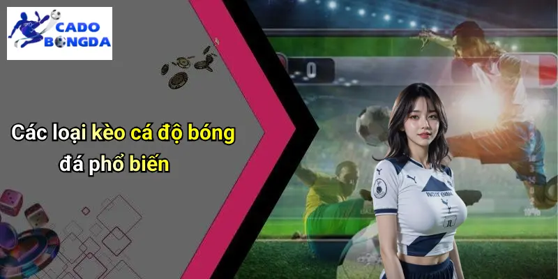 Cá Độ Bóng Đá