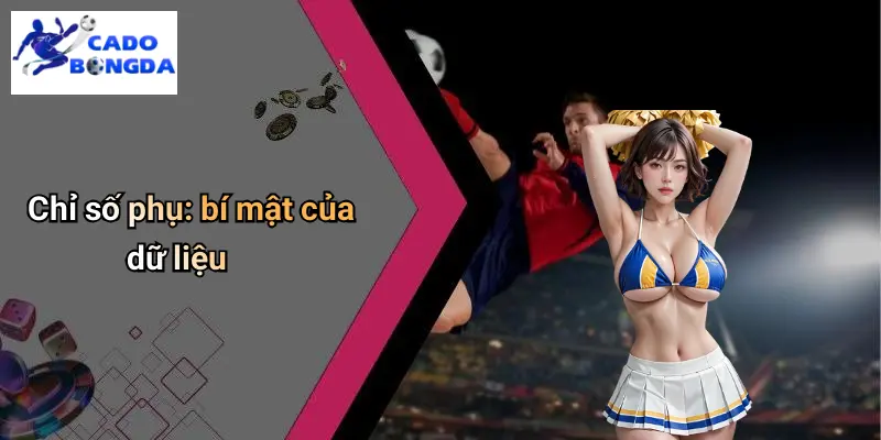 Chỉ số phụ: bí mật của dữ liệu