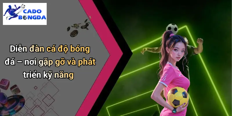 Giới Thiệu 3 Diễn đàn cá độ bóng đá – nơi gặp gỡ và phát triển kỹ năng