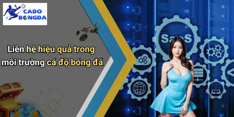 Liên Hệ 1 Liên hệ hiệu quả trong môi trường cá độ bóng đá