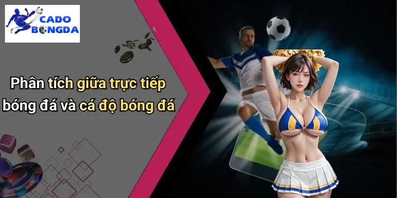 Phân tích giữa trực tiếp bóng đá và cá độ bóng đá