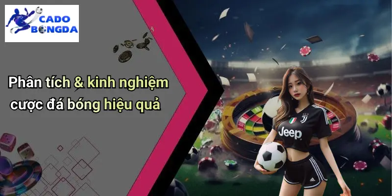 Cá Độ Bóng Đá