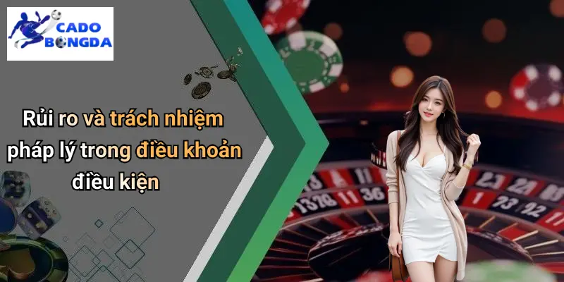 Điều Khoản Điều Kiện 3 Rủi ro và trách nhiệm pháp lý trong điều khoản điều kiện