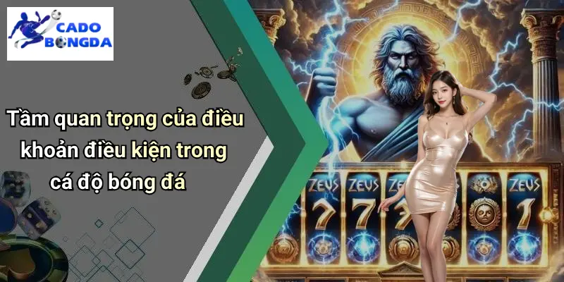 Điều Khoản Điều Kiện 1 Tầm quan trọng của điều khoản điều kiện trong cá độ bóng đá