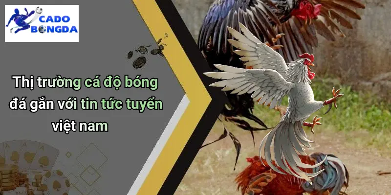 Tin Tức Đội Tuyển Việt Nam: Cập Nhật Diễn Biến & Kèo Hot Hôm Nay 3 Thị trường cá độ bóng đá gắn với tin tức tuyển việt nam