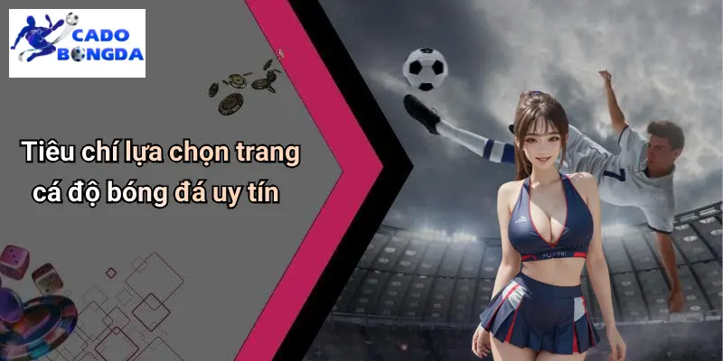 Cá Độ Bóng Đá