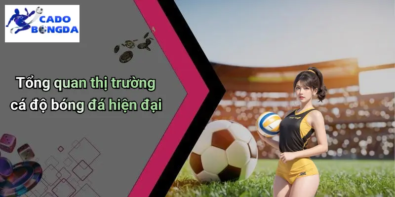 Cá Độ Bóng Đá