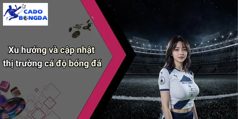 Xu hướng và cập nhật thị trường cá độ bóng đá