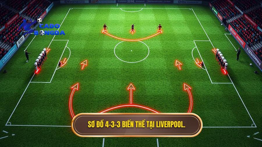 Chiến thuật Jurgen Klopp: Sự Trỗi Dậy Của Triết Lý Gegenpressing Và Cách Mạng Bóng Đá Hiện Đại 2 Sơ đồ 4-3-3: Biến thể hoàn hảo tại Liverpool