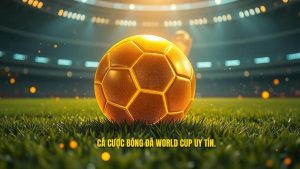 Cá Cược Bóng Đá World Cup