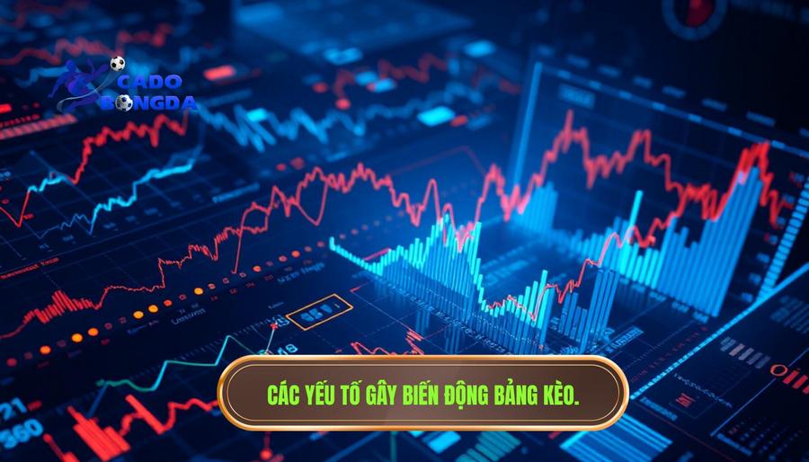 Phân tích đa chiều: Các yếu tố khiến bảng kèo biến động