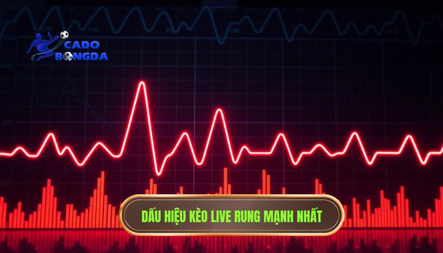 Kèo live bắt đầu rung mạnh: Nghệ thuật săn bàn thắng phút chót 2 Các dấu hiệu nhận biết thời điểm kèo live bắt đầu rung mạnh