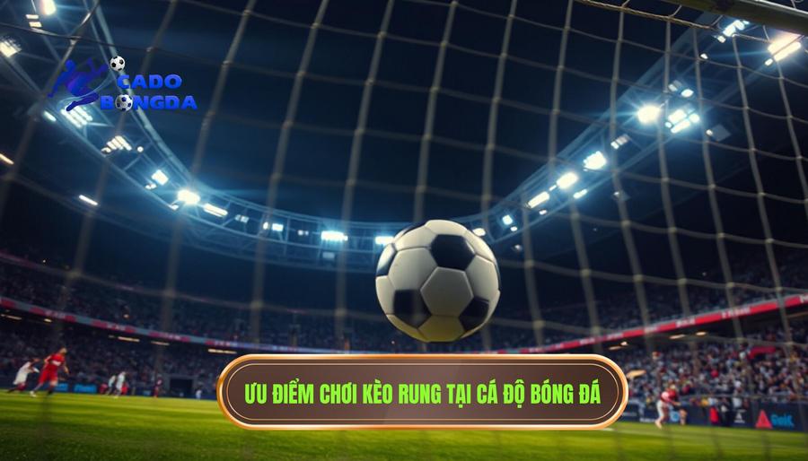 Kèo Rung Mạnh Theo Từng Phút: Nghệ Thuật Đọc Trận Đấu Và Chốt Lời Đỉnh Cao 2 Tại sao nên chọn chơi kèo rung tại CÁ ĐỘ BÓNG ĐÁ?