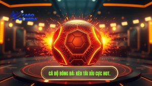 Kèo tài xỉu bắt đầu nóng