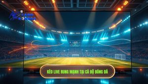 Kèo live bắt đầu rung mạnh